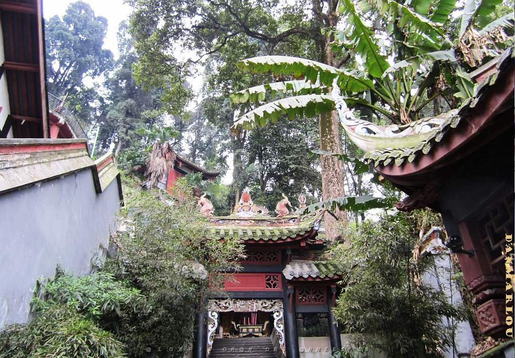 Chengdu avril 2017 - 078.JPG
